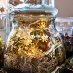 Cómo crear un terrario con orquídeas paso a paso