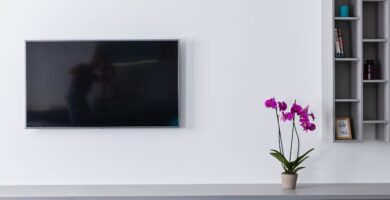 Iluminación Ideal para Orquídeas de Interior: Cómo Ajustar Luz Natural y Artificial